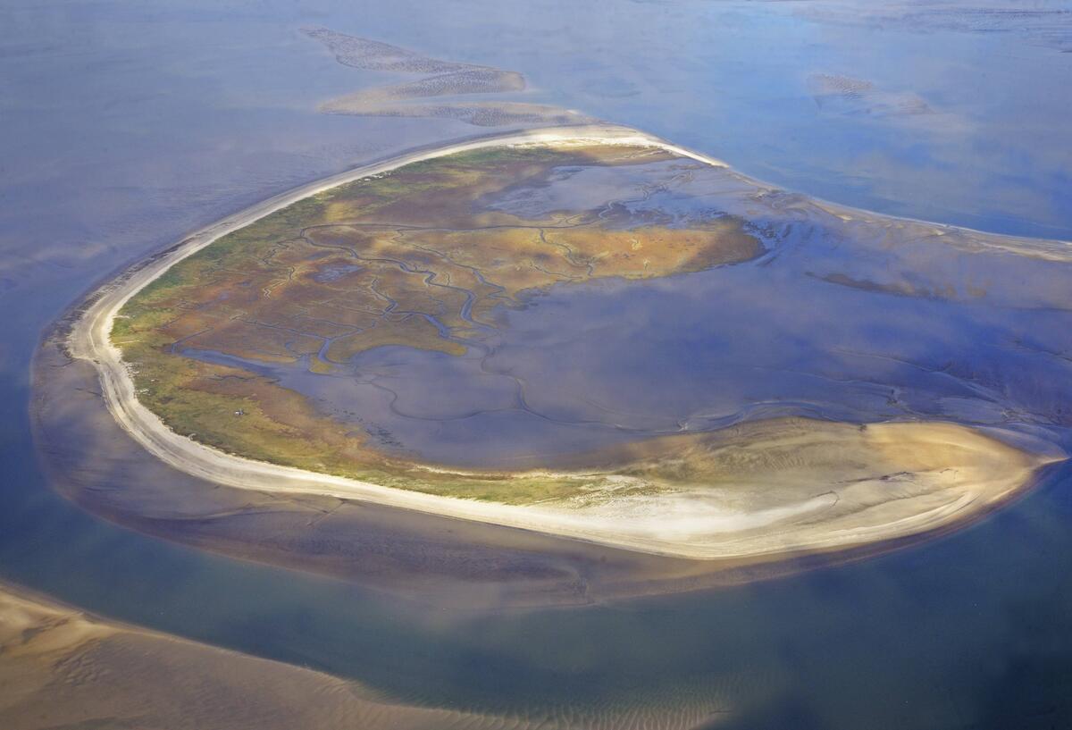 Diese Insel wandert jährlich - Touristen dürfen sie nicht betreten! Nordseeinsel Trischen.
