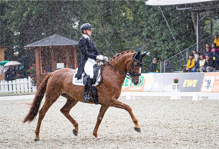 Reiter und Pferde trotzen dem Regen in Elmlohe Trotz des starken Regens boten die Dressurvierecke bei den Elmloher Reitertagen beste Bedingungen.