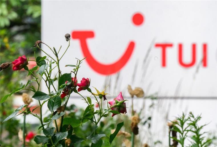 Tui gibt überraschende Einblicke - und meldet Kreuzfahrt-Rekord Rosen wachsen vor einer Tui-Zentrale.