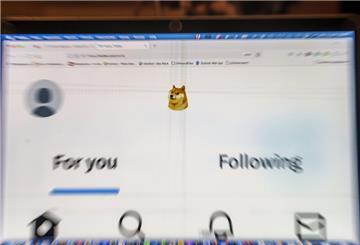 Auf einem Laptop-Display ist die Startseite von Twitter zu sehen, die anstelle des Twitter-Logos das Symbol der Digitalwährung Dogecoin zeigt.