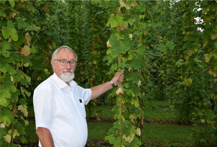 Hopfen- und Bierfest in Abbehausen Udo Venema veranstaltet am 11. und 12. September ein Hopfen- und Bierfest rund um das Gelände des Butjadinger Tors in Abbehausen.