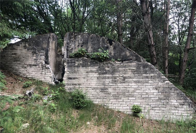 Hitlers geheimes Waffenlager in Hipstedt Die Überreste eines Bunkers stehen in einem Wald.