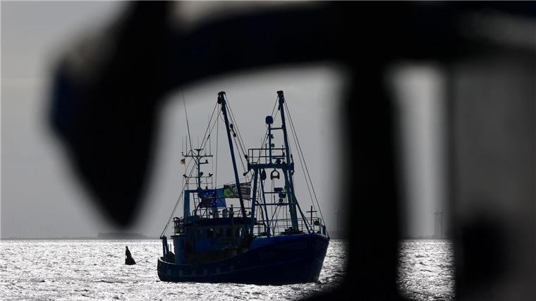 Über den Fischfang in Meeresschutzgebieten wird immer wieder gestritten. (Symbolbild)