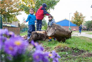 Über die Baumstämme auf dem Außengelände der evangelischen Kindertagesstätte an der Hellme in Dorum freuen sich nicht nur die „Dinos“ unter den Kindern. Auch Insekten haben etwas von dem Totholz und den frisch gepflanzten Stauden.