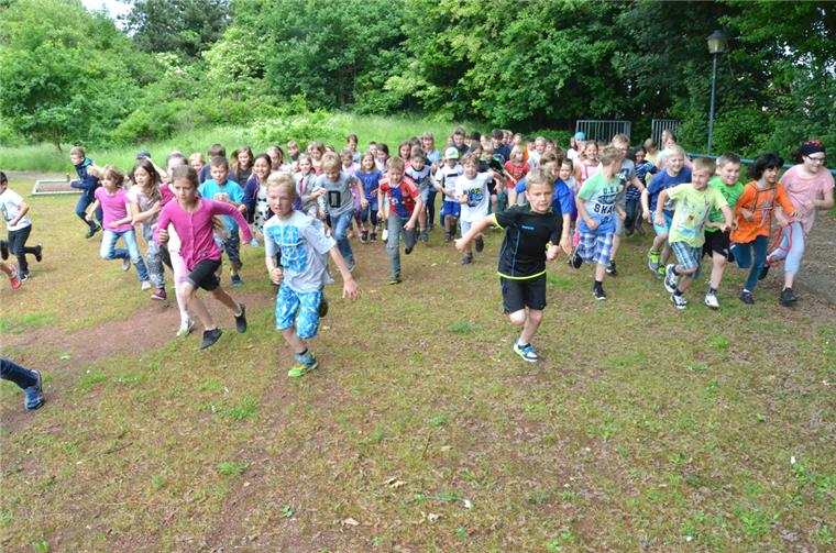 Sportausschuss vertagt Entscheidung über vergraste Laufbahn Über die Laufbahn im Sportpark in Stotel ist Gras gewachsen. Deshalb soll sie zurückgebaut werden. Zum Leidwesen der Grundschule.