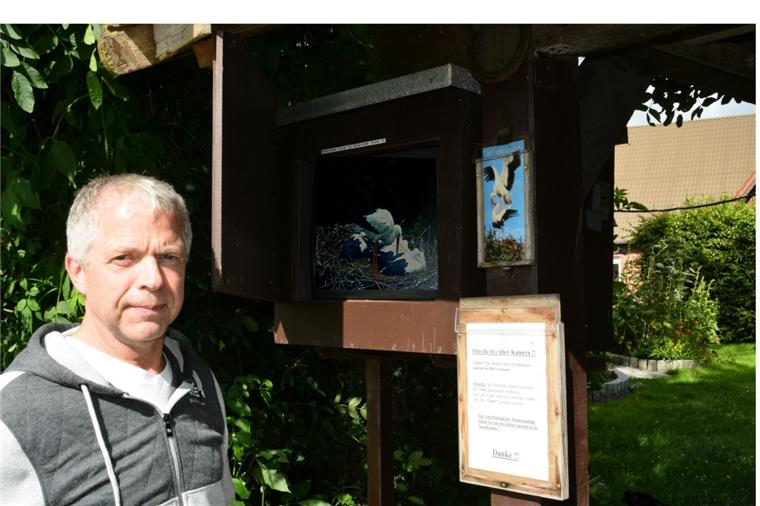 Storch-TV ermöglicht in Sievern den Blick ins Nest Über einen kleinen Fernseher im Außenbereich am Haus von Bernd Twachtmann können Spaziergänger direkt ins Nest der Störche schauen.