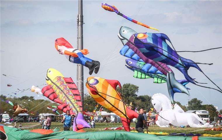 Über Lemwerder stiegen am Wochenende wieder große bunte Drachen auf. 