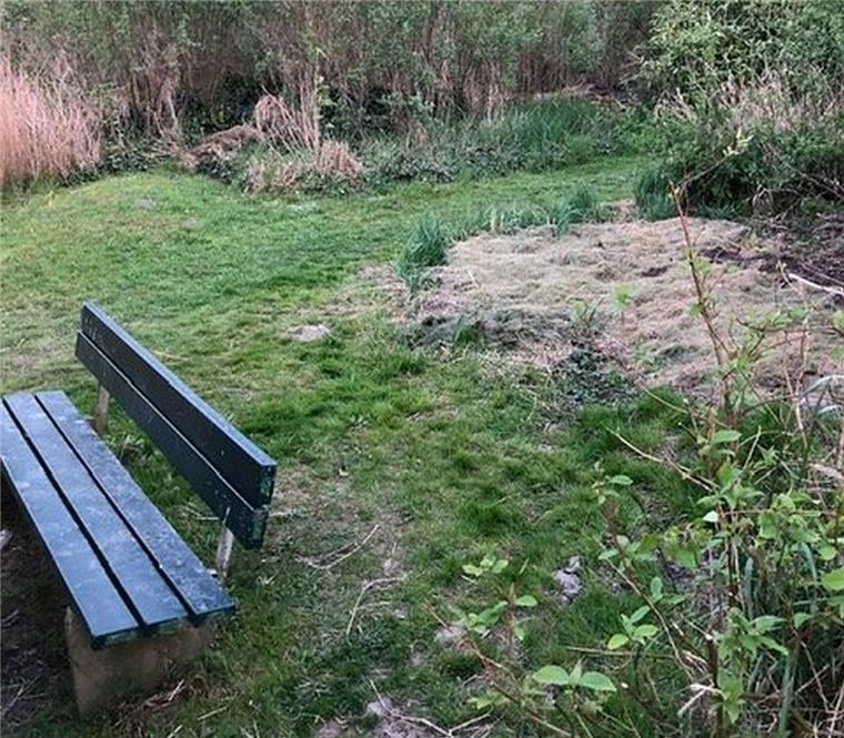 Verunreinigungen am Nordenhamer Seenpark II Überall am Seendeich II haben unbekannte Täter ihren Rasenschnitt abgelegt, anstatt ihn fachgerecht zu entsorgen.