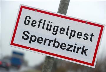 Schild mit Aufschrift "Geflügelpest Sperrbezirk"
