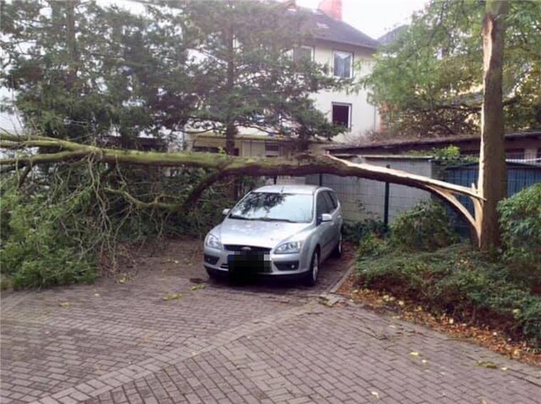 Um ein Haar wäre der Baum auf dem Auto in Bremerhaven-Lehe gelandet.