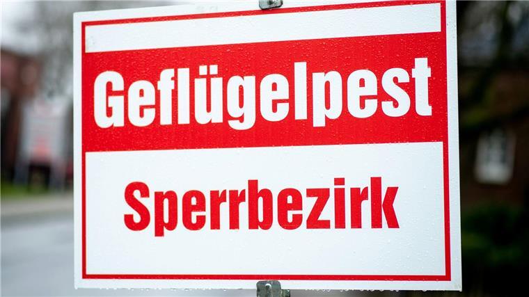 Um eine Ausbreitung der Tierseuche zu verhindern, wurde der Bestand von 12.000 Legehennen in einem Betrieb in Friesland getötet. (Symbolbild)