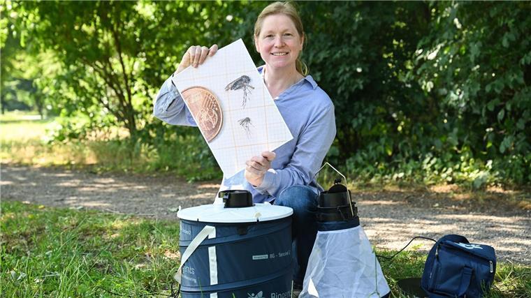 Gesundheitsamt weitet Überwachung von Tigermücken aus „Um mehr Informationen über die Verbreitung von Tigermücken in Niedersachsen zu gewinnen, sind wir auch auf die Unterstützung jedes Einzelnen angewiesen“, sagt Fachtierärztin Sonja Wolken.