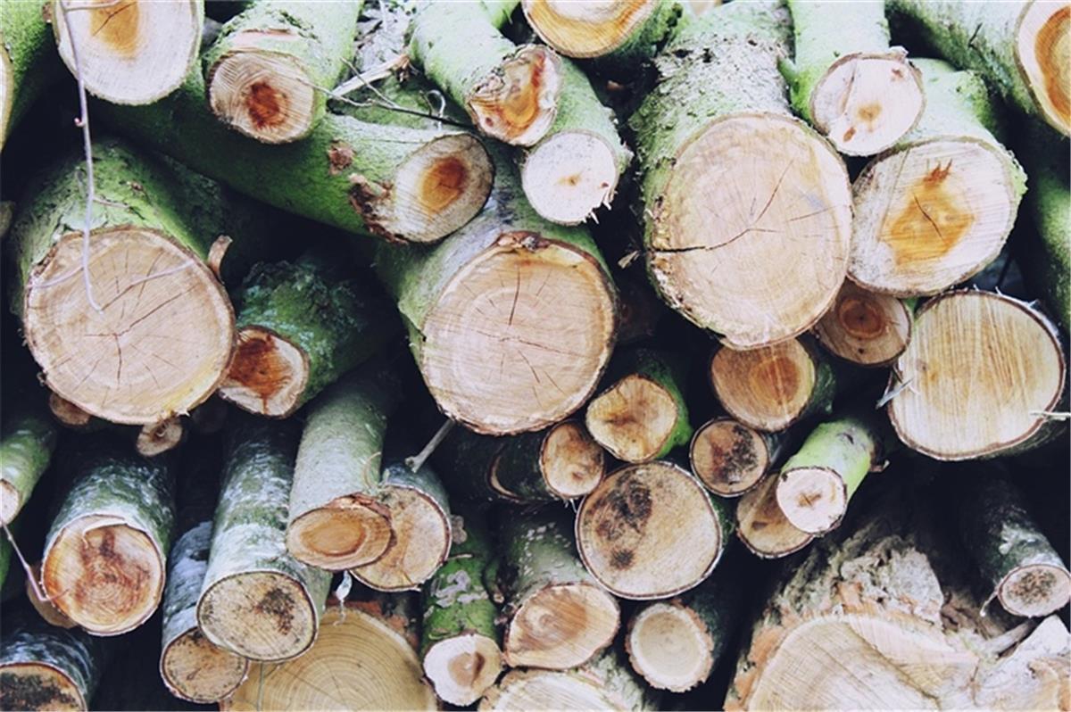 Unbekannte haben in der Midlumer Feldmark Holz gestohlen.