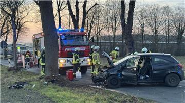 Unfall Auto Baum