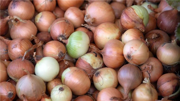 Ungewöhnlich: Drei Männer stehlen im Landkreis Rotenburg 120 Kilogramm Zwiebeln - direkt vom Feld. (Symbolbild)