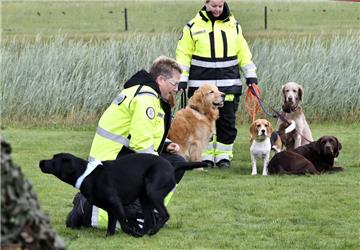 Unglaublich, mit welcher Ernsthaftigkeit, die ansonsten ja sehr verspielten Hund...
