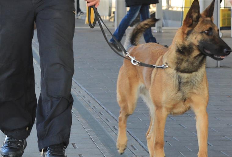 Teenager gibt sich als Ordnungsdienst aus Uniformähnliche Kleidung, Pfefferspray und ein Schäferhund - so ähnlich wie auf diesem Foto dürfte der 17-Jährige herumgelaufen sein.