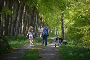 Unter Buchenblättern geht es im Drangstedter Wald zum Areal, das ein Friedwald werden soll.