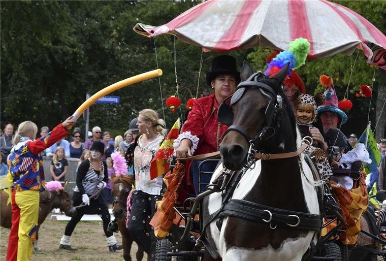 So schön war es auf dem Midlumer Markt Unter dem Motto "Kinder aufs Pferd" zeigte der Pferdehof Miriam Robbe eine bunte Zirkusschau mit vielen Pferden, Clowns und Kindern auf dem Midlumer Markt.