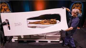 Unter hohen Sicherheitsvorkehrungen ist der Sarg des ägyptischen Pharaos Ramses II. enthüllt worden.