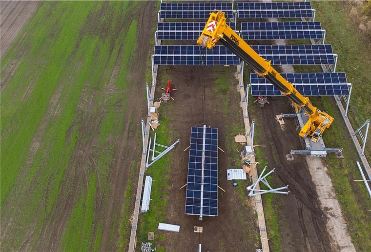 Solar-Offensive auf dem Acker: Ein Thema fürs Cuxland Unter sogenannten Agri-Photovoltaik-Anlagen, die aufgeständert werden, lässt sich weiter Landwirtschaft betreiben. Ob das ein Modell für Landwirte aus dem Kreisgebiet ist, muss sich zeigen.