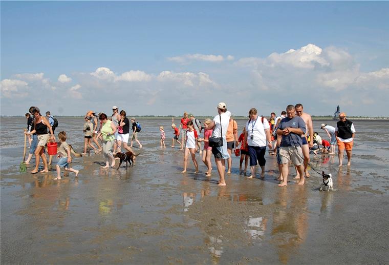 Corona-Lockerungen: Nicht alle sind glücklich Urlauber unternehmen eine Wattwanderung - an der Wurster Nordseeküste soll das bald wieder möglich sein.