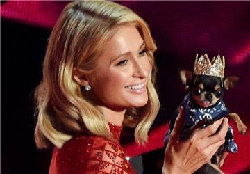 Paris Hilton mit ihrem Chihuahua 