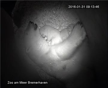 Valeska schmust mit ihrem sechs Wochen alten Baby.