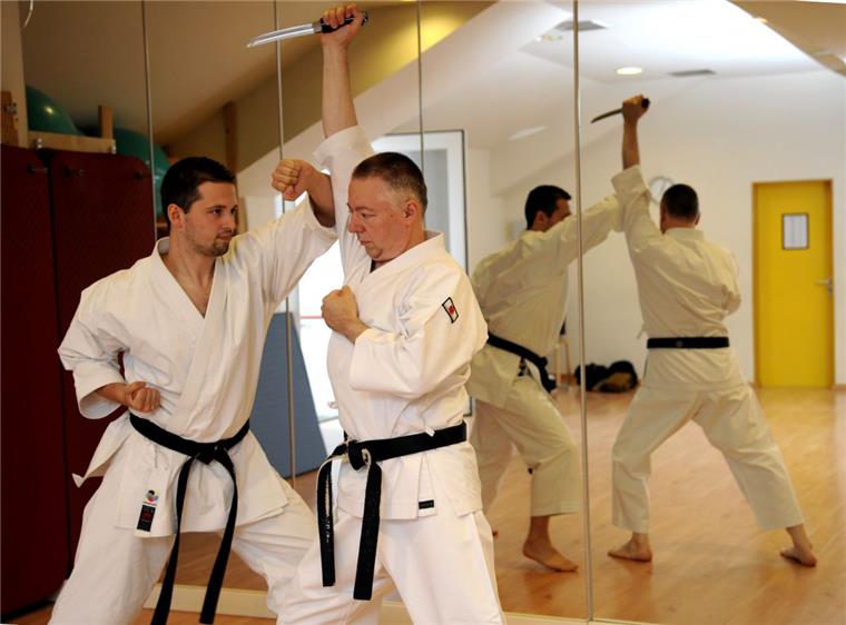 Die Hohe Kunst des Karate Die Hohe Kuste des Karate