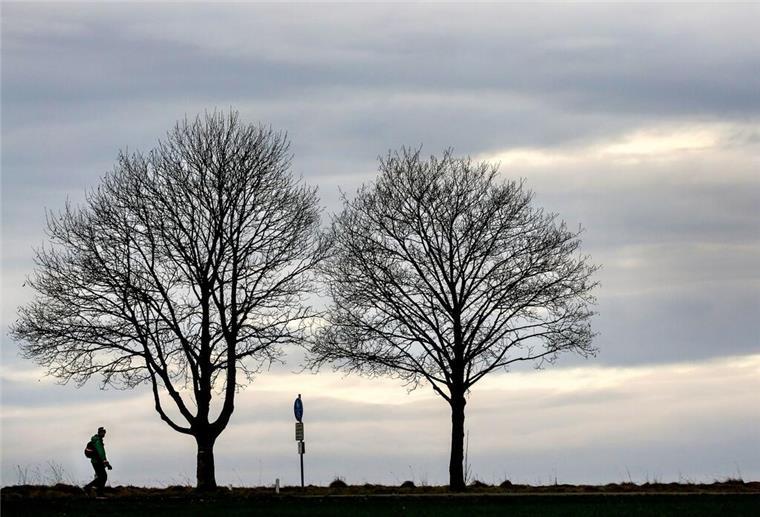 Verborgene Pfade im Elbe-Weser-Dreieck: Winterliche Entdeckungen