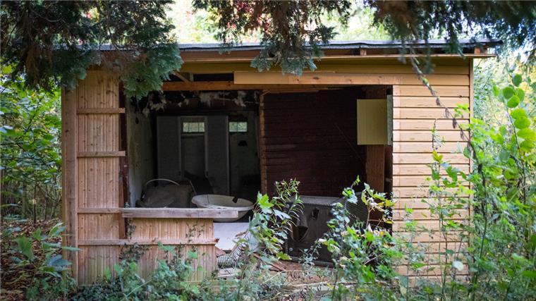 Ackmann-Gelände: Hier malerische Idylle, dort herber Protest (mit Video) Verlassene Gartenhäuser aus Holz zwischen überwuchertem Grün.