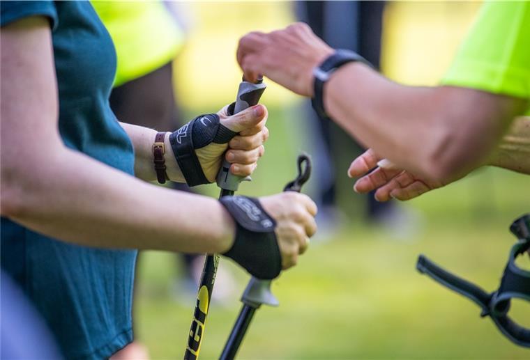 OSC bietet Fitnesskurse im Freien an Verschiedene Kurse wie Nordic Walking beginnen jetzt wieder beim OSC.