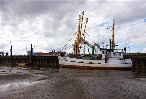 Verschlickt: Olaf Schmidts Krabbenkutter „Claudia“ hat den geringsten Tiefgang aller Kutter im Wremer Hafen. Doch auch er hat derzeit bei Hochwasser Mühe, sein Schiff im Hafen zu manövrieren.