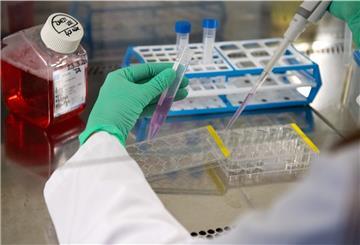 Vibalogics hat sich auf die Herstellung virotherapeutischer Produkte spezialisiert.