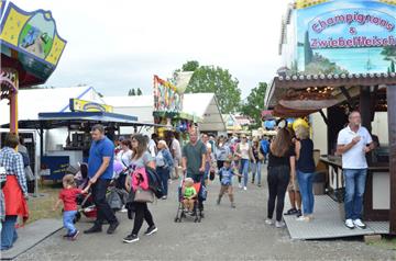 Viel los auf dem Festplatz beim Dedesdorfer Markt.