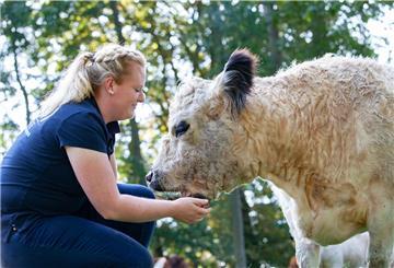 Viel mehr als nur eine Zweckgemeinschaft: Landwirtin Hjördis Plate ist es wichtig, dass ihre Galloway-Rinder ein gutes Leben auf dem familieneigenen Hof haben.