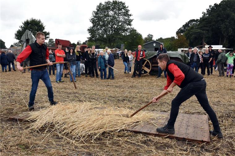 Dreschfest: Nur die Schlegel kommen zum Einsatz Viel Muskelkraft ist nötig, um mit dem Dreschflegel die Körner aus den Getreideähren zu schlagen.