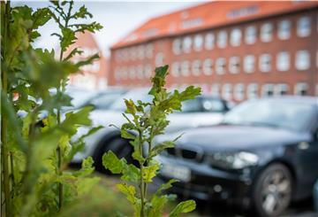 Blick auf den Parkplatz mit Autos.