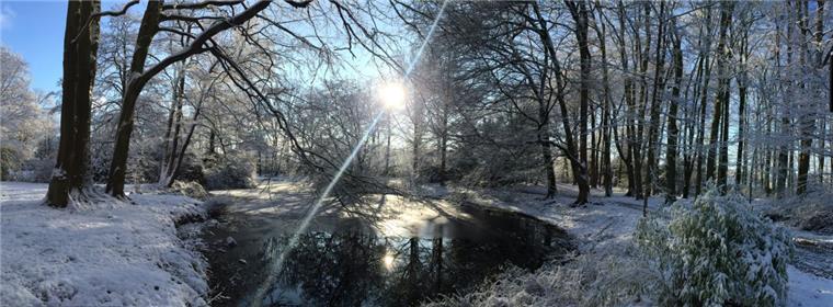 Viele Bremerhavener sehnen sich Jahr für Jahr nach weißer Weihnacht, wie auf diesem Winterbild im Speckenbütteler Park. 
