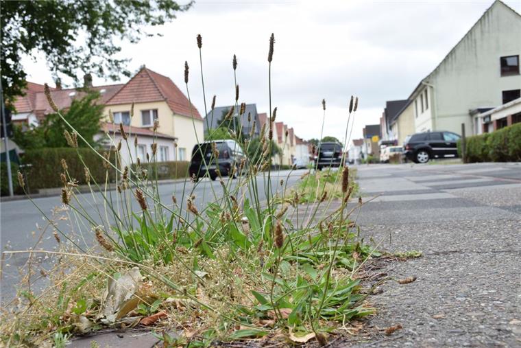 Stadt Nordenham wird digitales Beschwerdeportal einrichten Viele Bürger regen sich über zu viel Unkraut auf städtischen Flächen auf. Auch das dürfte ein Thema beim Beschwerdeportal sein.