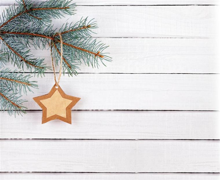 Adventskalender-Ideen: Darüber freut sich wirklich jeder! Weihnachtsstern am Weihnachtsbaum aus dem Adventskalender von HEIN dein Norden