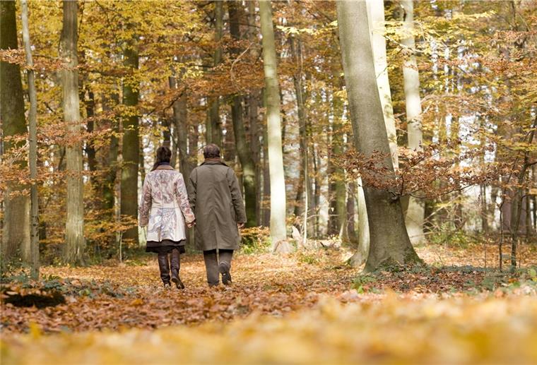 Viele Menschen, die ihrer Verstorbenen in der ruhigen und naturverbundenen Atmosphäre eines Friedhofes oder Friedwaldes gedenken, machen sich dabei auch Gedanken über das eigene Ableben.