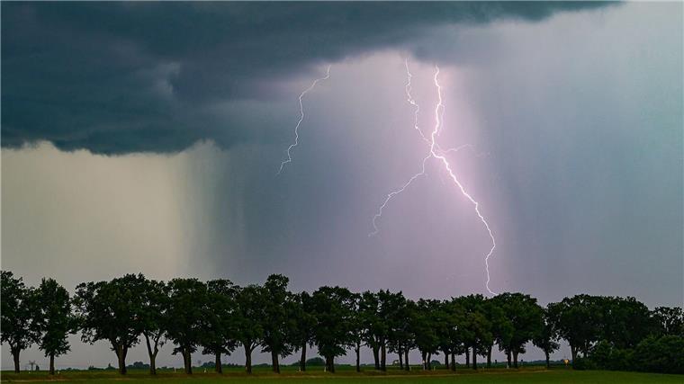 Kinder nach Blitzschlag in Lebensgefahr - Zustand ungewiss Viele Menschen suchen unter Bäumen Schutz vor Unwetter und sind sich der Gefahr nicht bewusst. (Archivfoto)