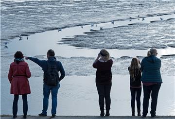 Vogelfreunde lassen sich am Deich des Jadebusens die Zugvögel im Wattenmeer erklären. Millionen von Vögeln werden in den kommenden Wochen wieder an der niedersächsischen Küste erwartet.