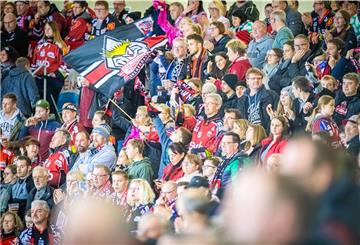 Volle Ränge in der Champions League - ein Traum für die Fans der Fischtown Pinguins.