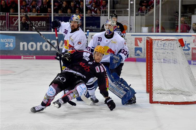 Pinguins wollen letzte Kräfte mobilisieren Voller Einsatz vor dem Tor: Jan Urbas im Zweikampf mit Yannick Seidenberg.