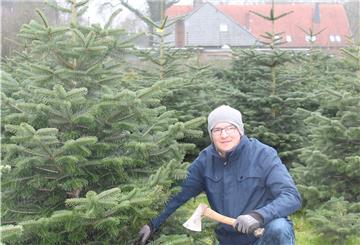Voller Tatendrang geht Redakteur Mark Schröder mit der Axt ans Werk. Ihm bleiben nur 14 Minuten für die „Mission Weihnachtsbaum“.