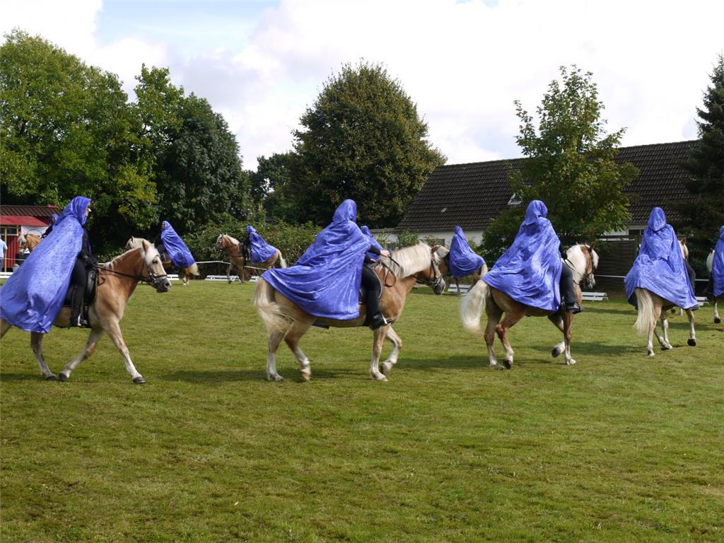 Voltigiergruppe vom Reitverein Dorum