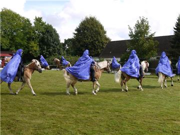 Voltigiergruppe vom Reitverein Dorum