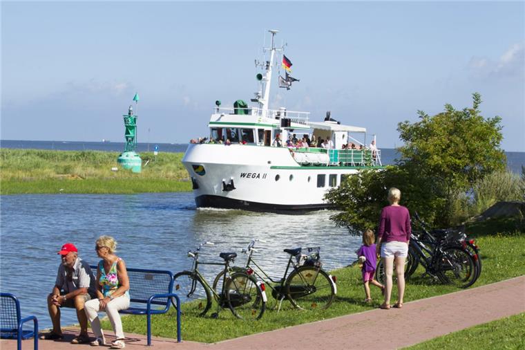Butjadingen: Programm der Gezeiten-Wochen steht fest Vom Fedderwardersieler Hafen aus sticht die „Wega II“ am 8. September im Rahmen der Gezeiten-Wochen zum Leuchtturm Hohe Weg in See.